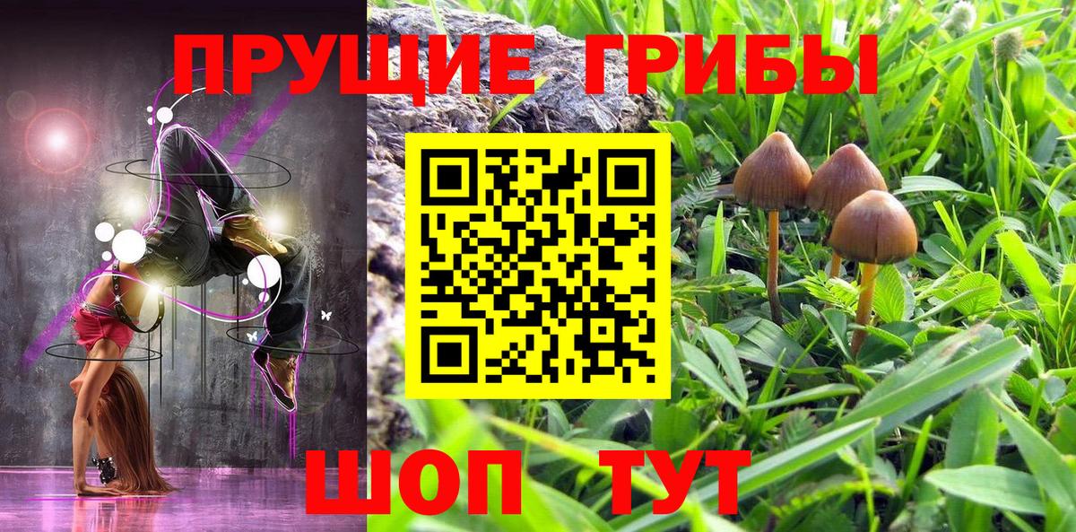 Псилоцибиновые грибы Cubensis Северобайкальск