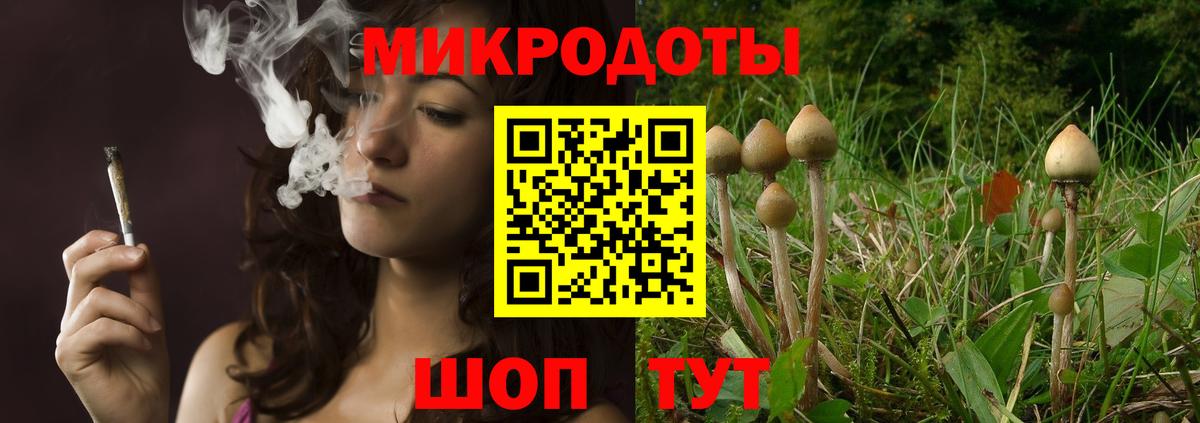 Псилоцибиновые грибы ЛСД  Галлюциногенные грибы ЛСД  Вход с VPN  Северобайкальск 